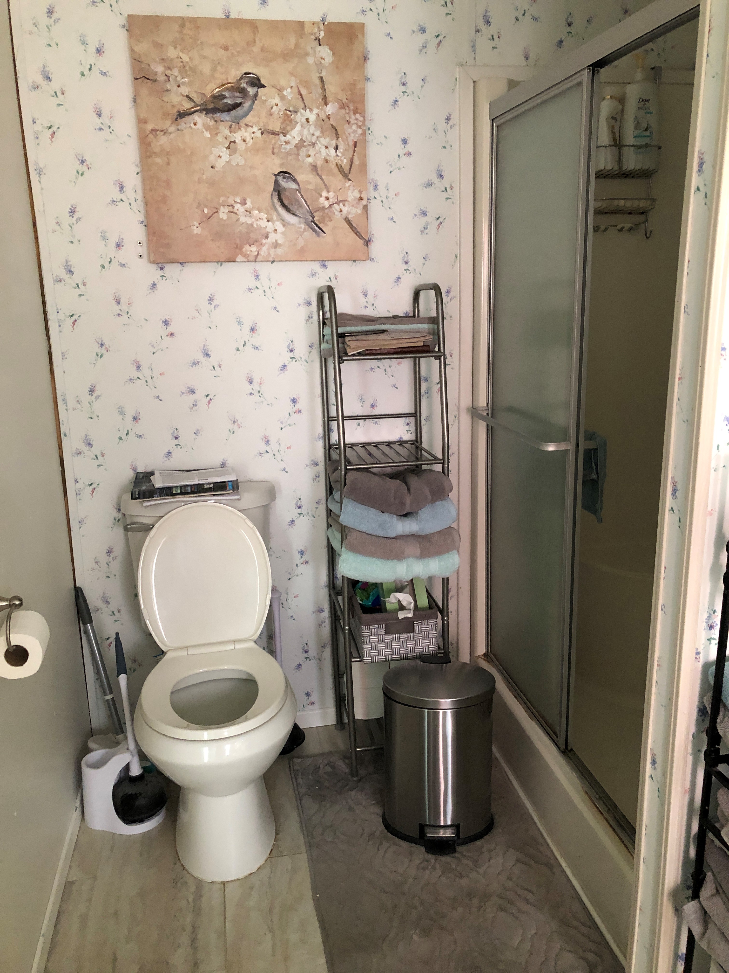 Master Bathroom Old Toilet and Shower